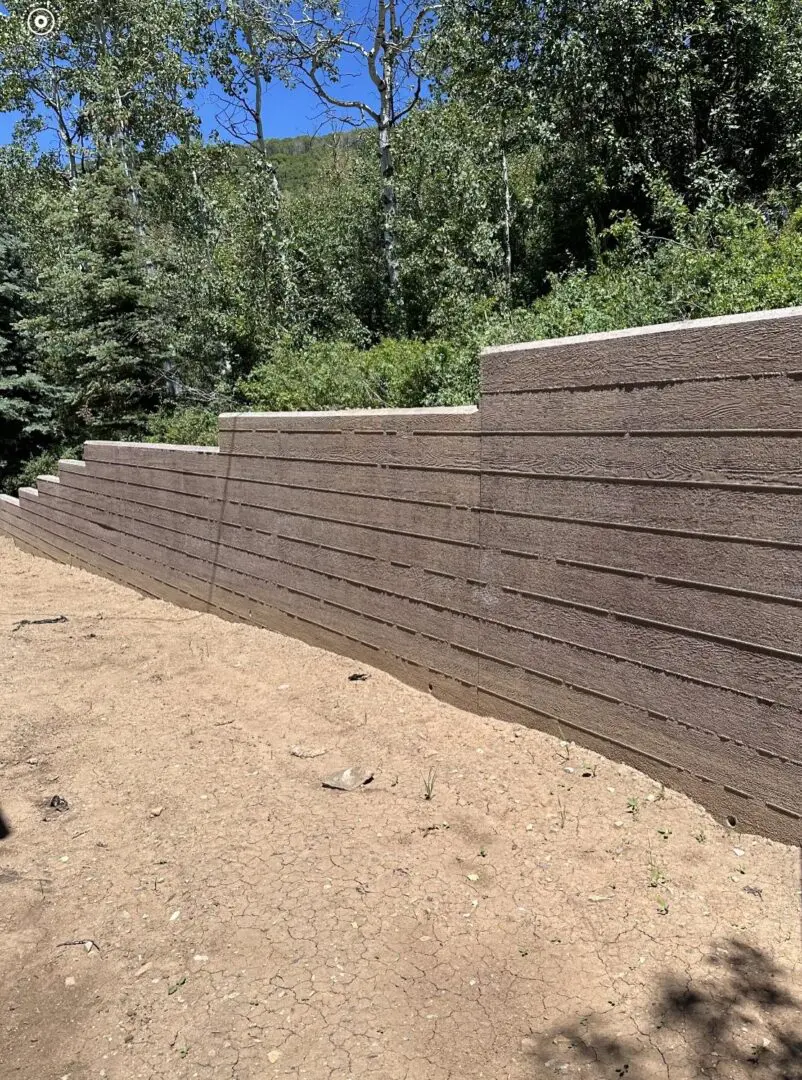 A wall separating sand and forest